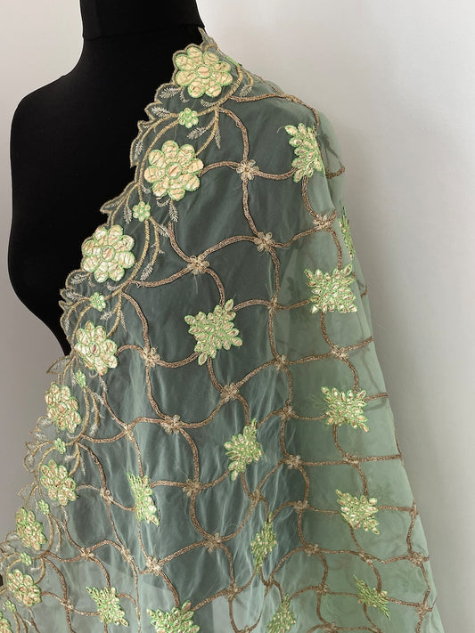 Various Designs Colours Organza Dupatta