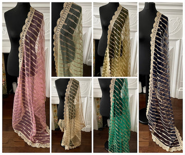 Sequin Net Dupattas